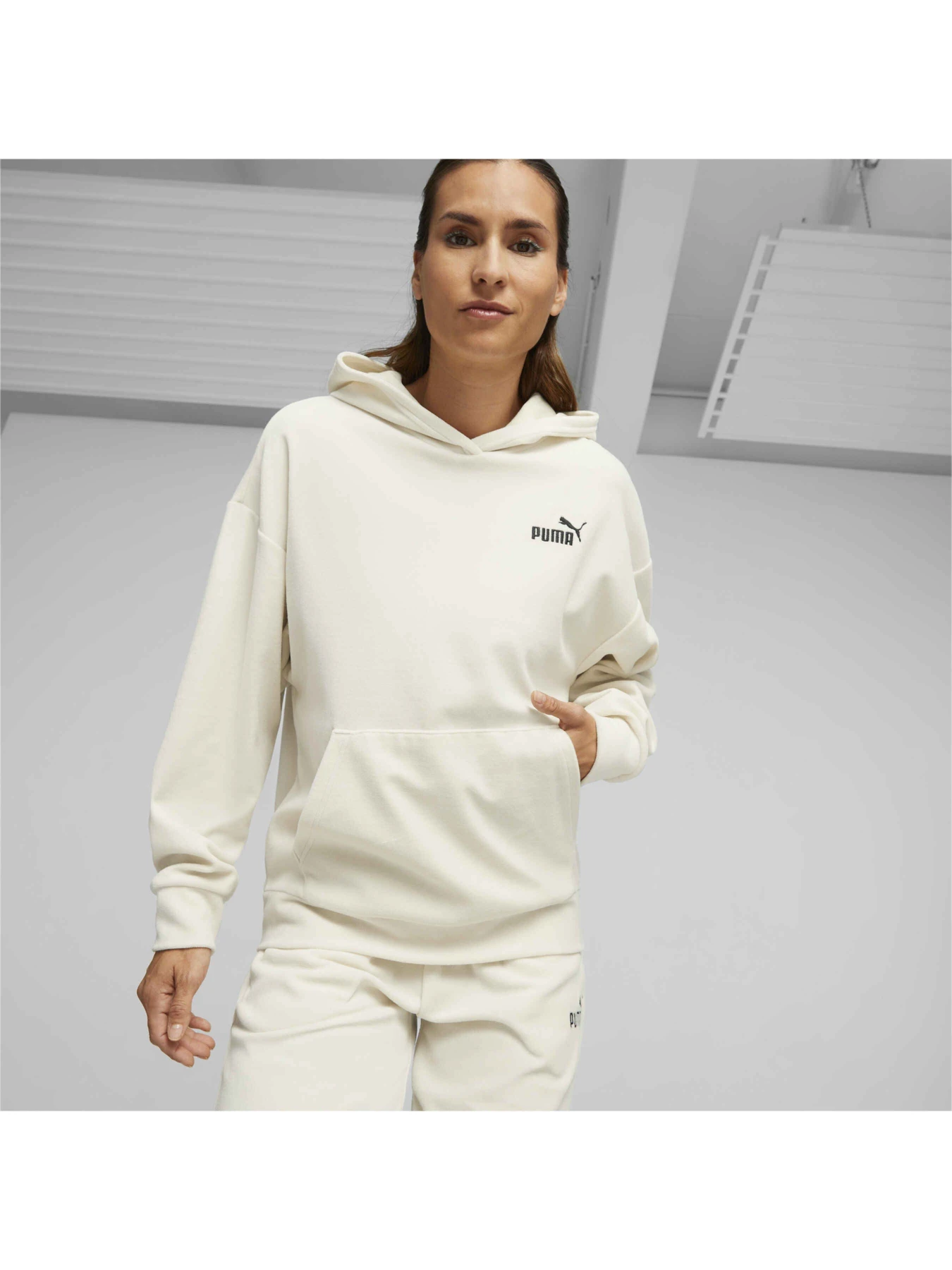 Худі та світшоти PUMA Ess Elevated Hoodie модель 675991 Худі та світшоти PUMA Ess Elevated Hoodie модель 675991 Фото