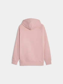 Худі та світшоти PUMA Classics Hoodie Fl модель 625218 Фото