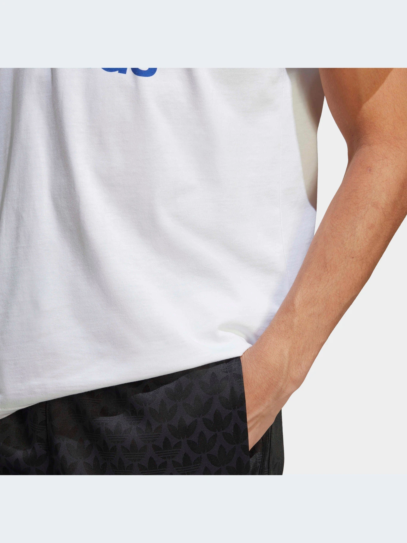 Футболки и поло Adidas Adicolor модель IA4813 Футболки и поло Adidas Adicolor модель IA4813 Фото