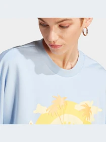 Худи и свитшоты Adidas Graphics модель IT8160 Фото