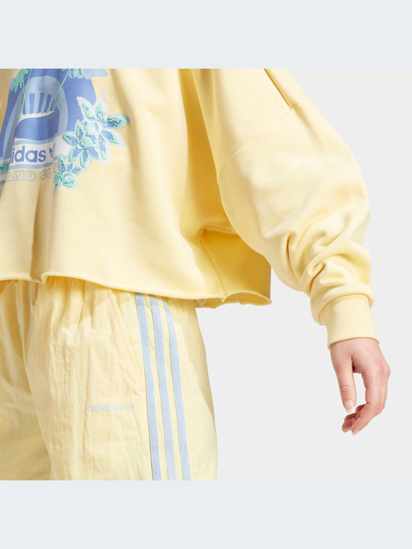 Худи и свитшоты Adidas Graphics модель IT8161 Фото