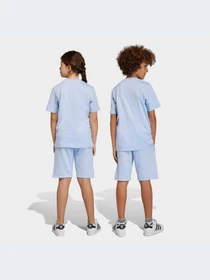 Шорты Adidas Adicolor модель IC3172 Фото