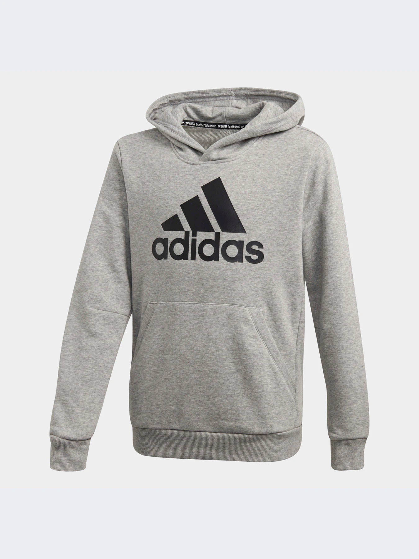 Худі та світшоти Adidas модель FM6465 Фото