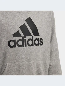 Худі та світшоти Adidas модель FM6465 Фото