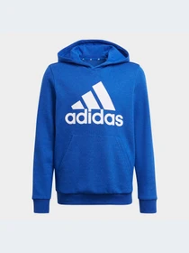 Худі та світшоти Adidas модель GN4028 Фото