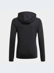 Худі та світшоти Adidas модель GQ8356 Фото