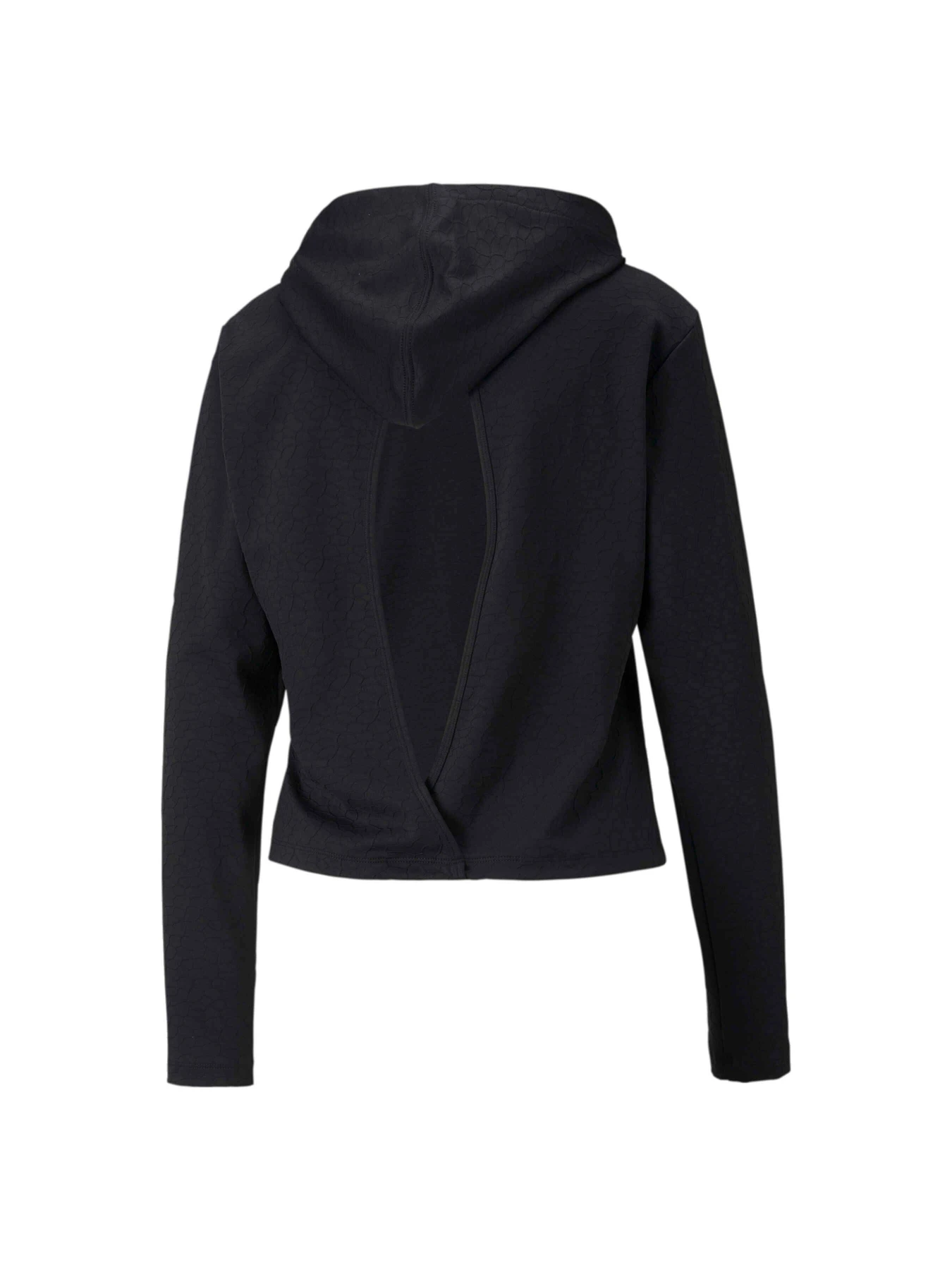 Худи и свитшоты PUMA Flawless Reg Length Hoodie модель 522377 Фото