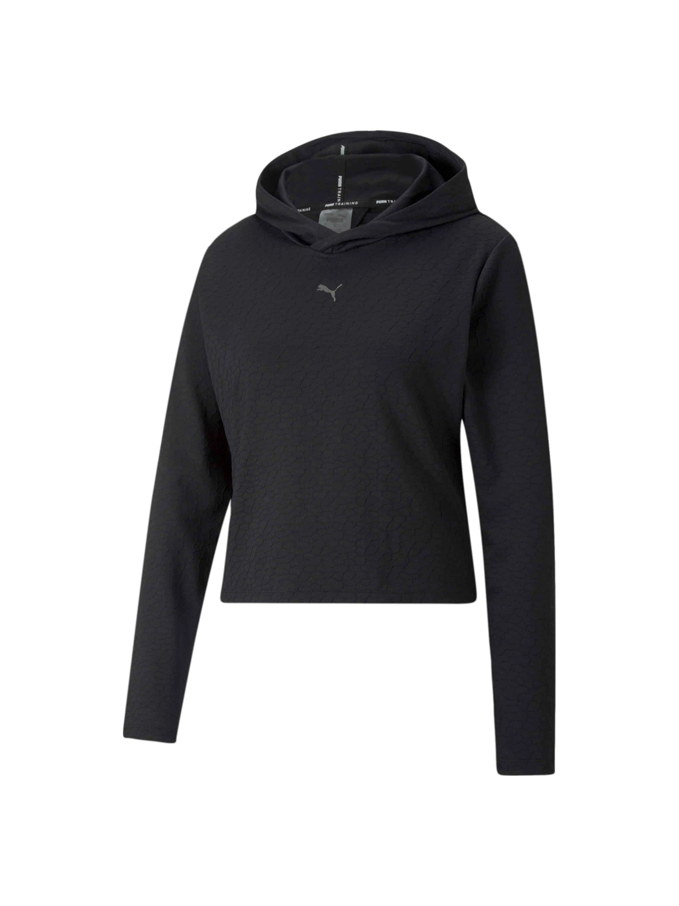 Худи и свитшоты PUMA Flawless Reg Length Hoodie модель 522377 Фото