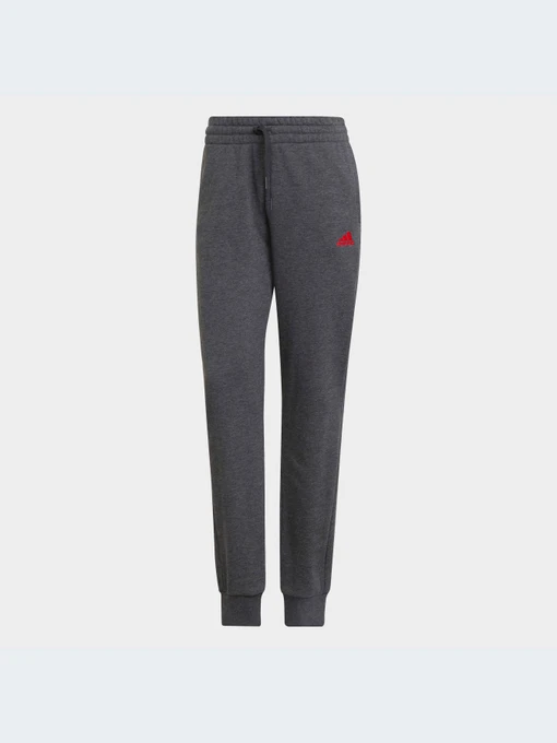 Брюки Adidas модель HD1698 Фото