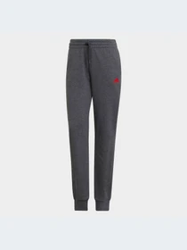 Брюки Adidas модель HD1698 Фото