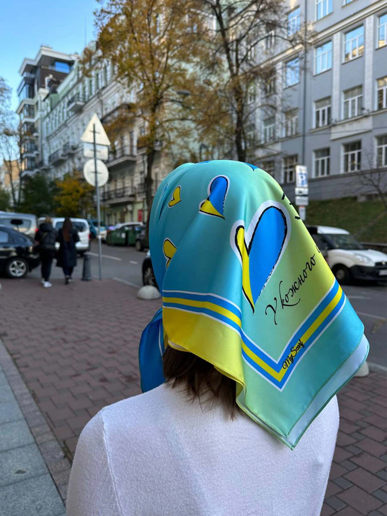 Шарфы и платки MyScarf модель pa_202 Шарфы и платки MyScarf модель pa_202 Фото