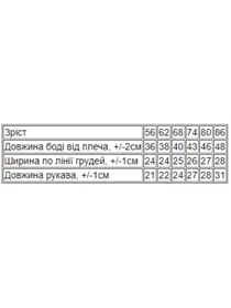 Одежда для младенцев Носи своє модель 5010-024-5-vedmezhata-bezh Фото