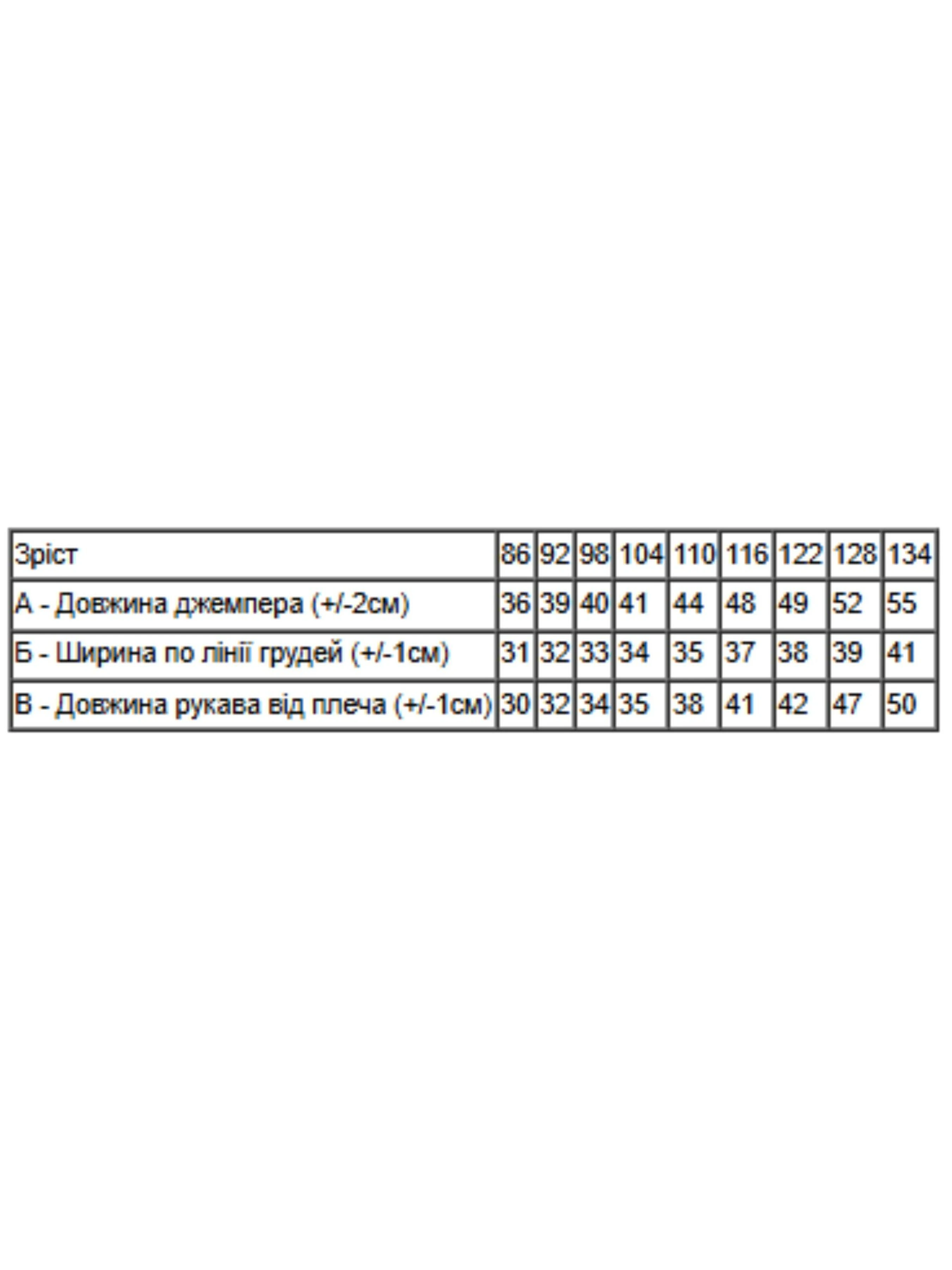 Дитяча Флісова кофта Носи своє фото 2