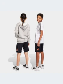 Шорты Adidas модель IC5658 Фото