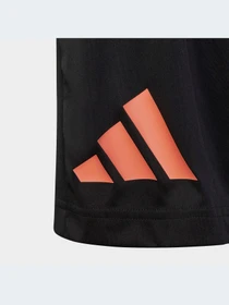 Шорты Adidas модель IC5658 Фото