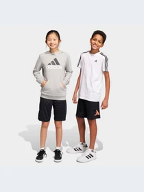 Шорты Adidas модель IC5658 Фото