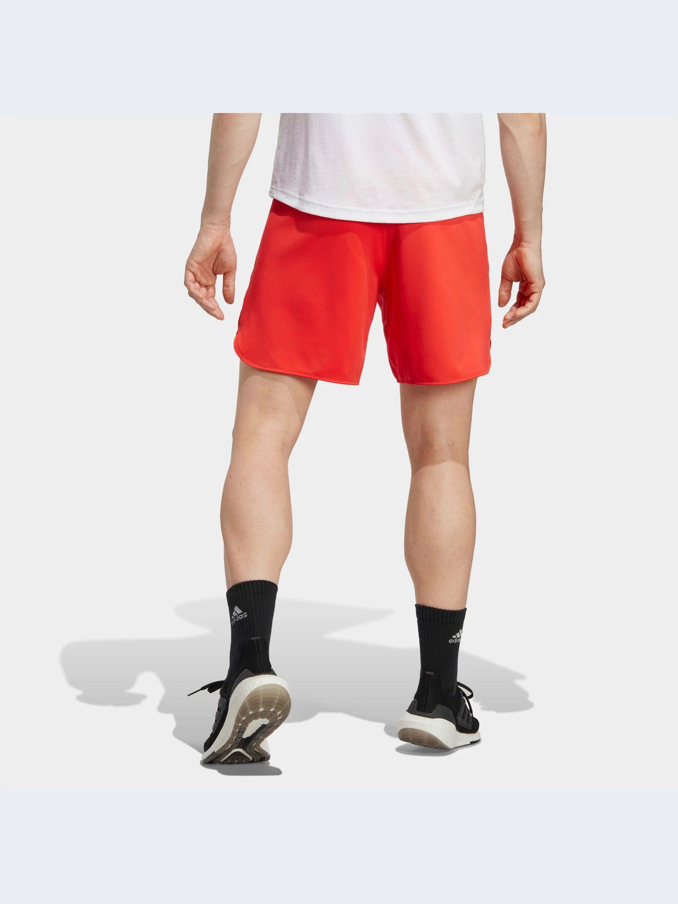 Шорты Adidas модель IC2046 Фото
