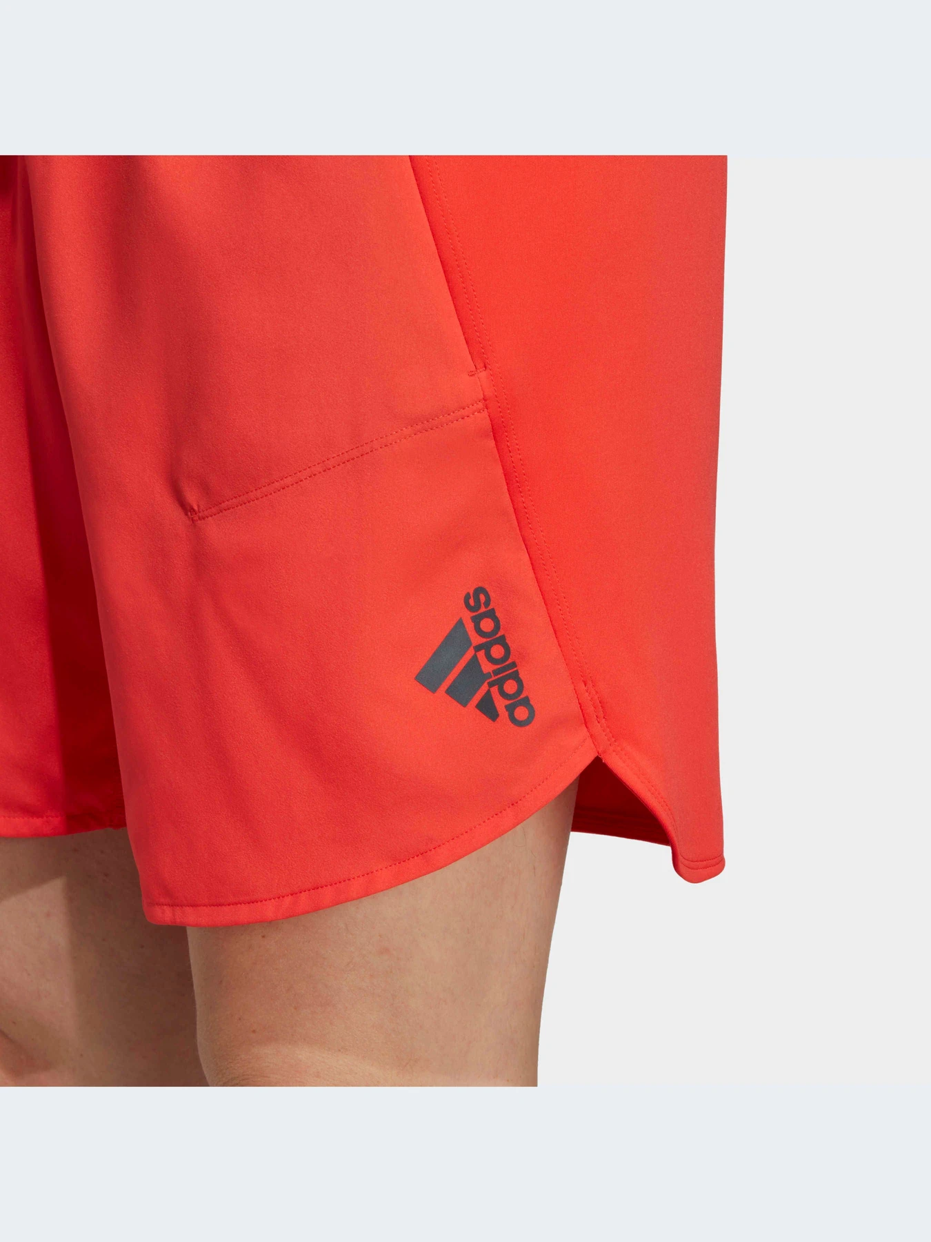 Шорты Adidas модель IC2046 Фото