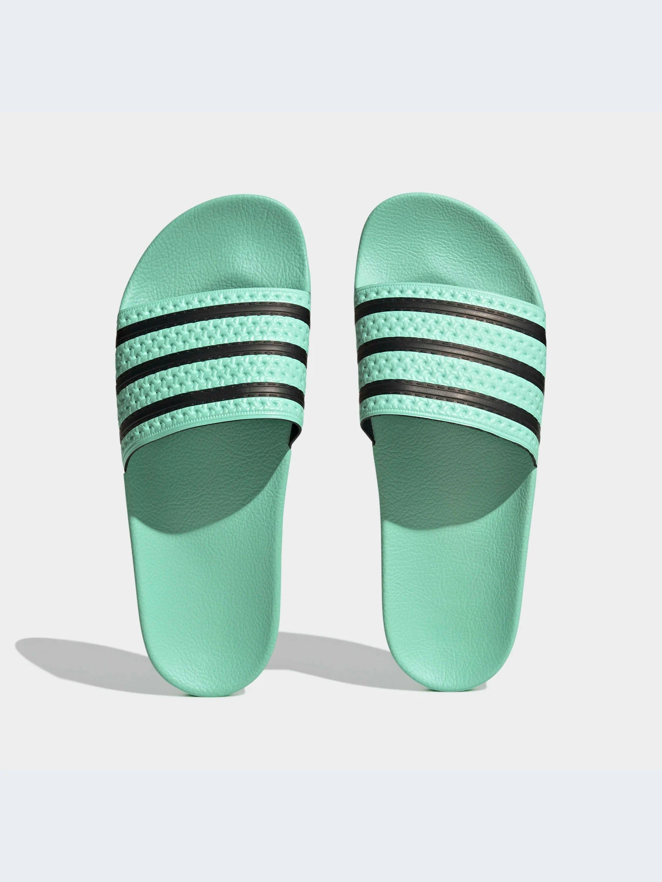 Шлёпанцы Adidas Adilette модель HP6508 Фото
