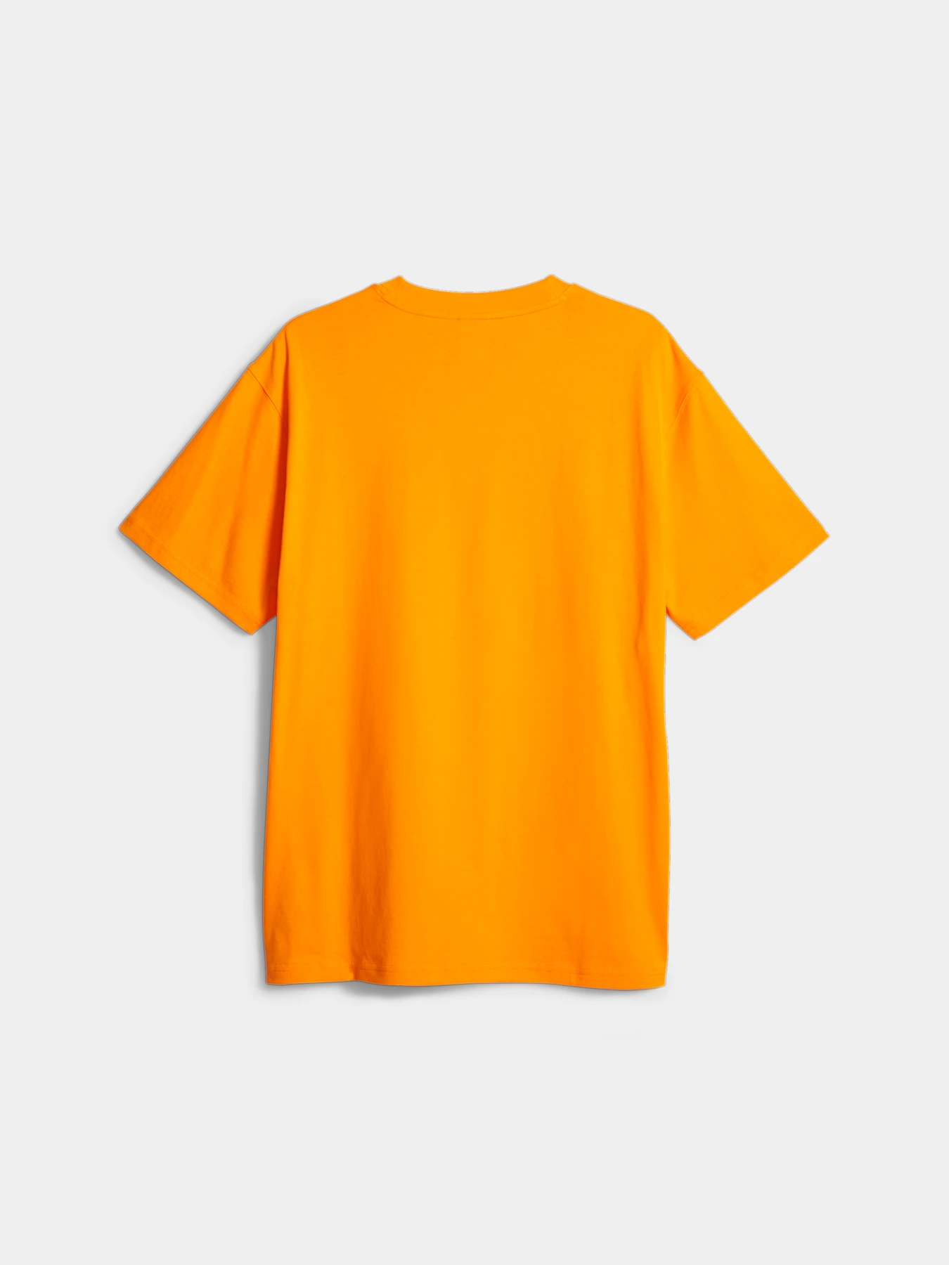 Футболки і поло PUMA x Pleasures Typo Tee модель 620878 Футболки і поло PUMA x Pleasures Typo Tee модель 620878 Фото