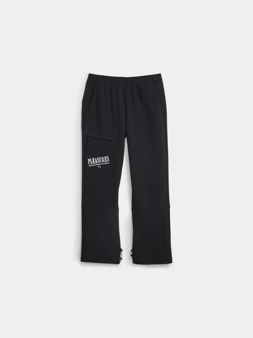 Штани PUMA x Pleasures Cargo Pants модель 620881 Фото