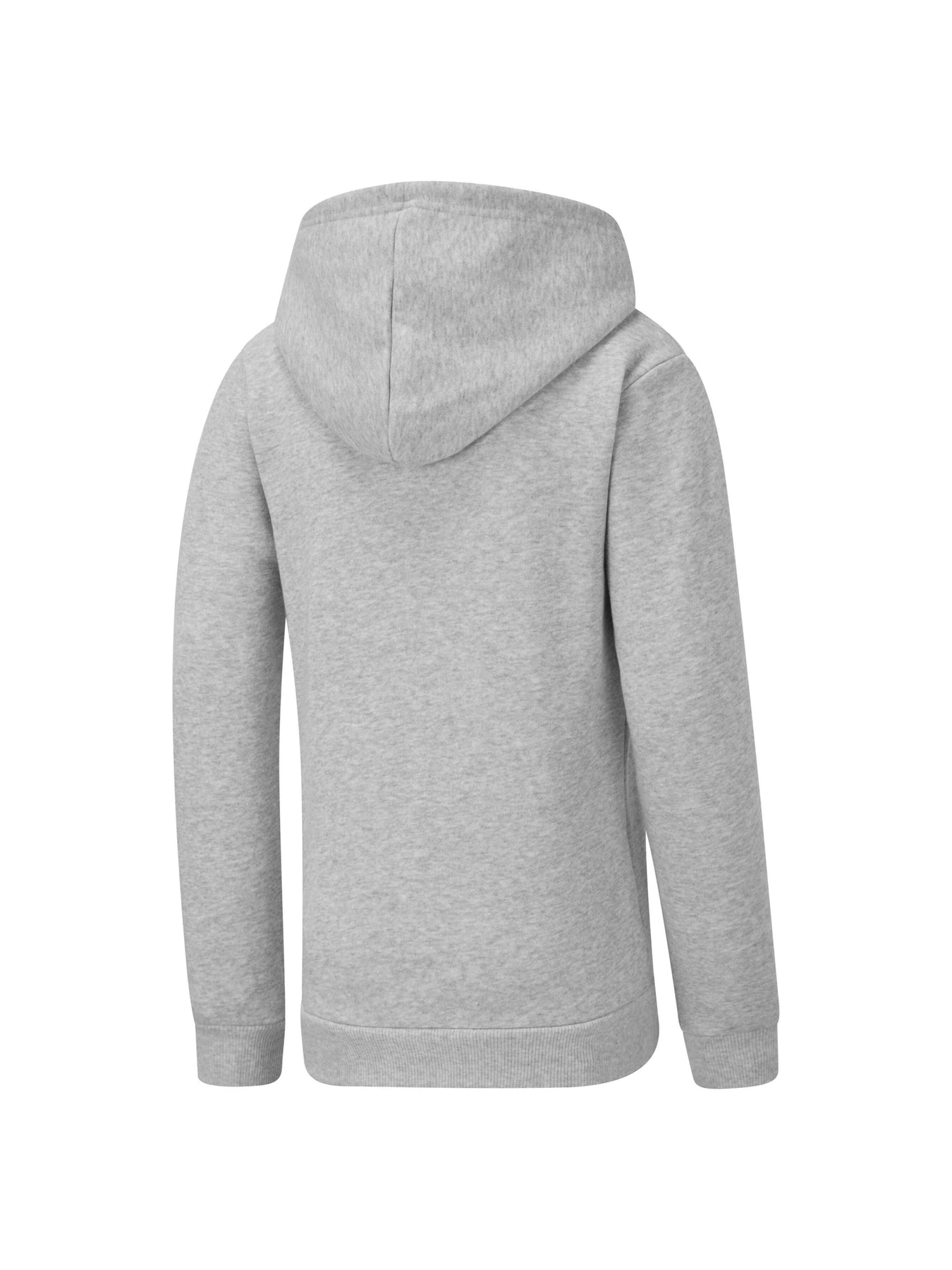 Худи и свитшоты PUMA Girls Ess Hoody Fl модель 847587 Фото