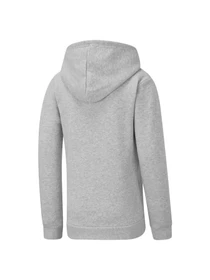 Худи и свитшоты PUMA Girls Ess Hoody Fl модель 847587 Фото