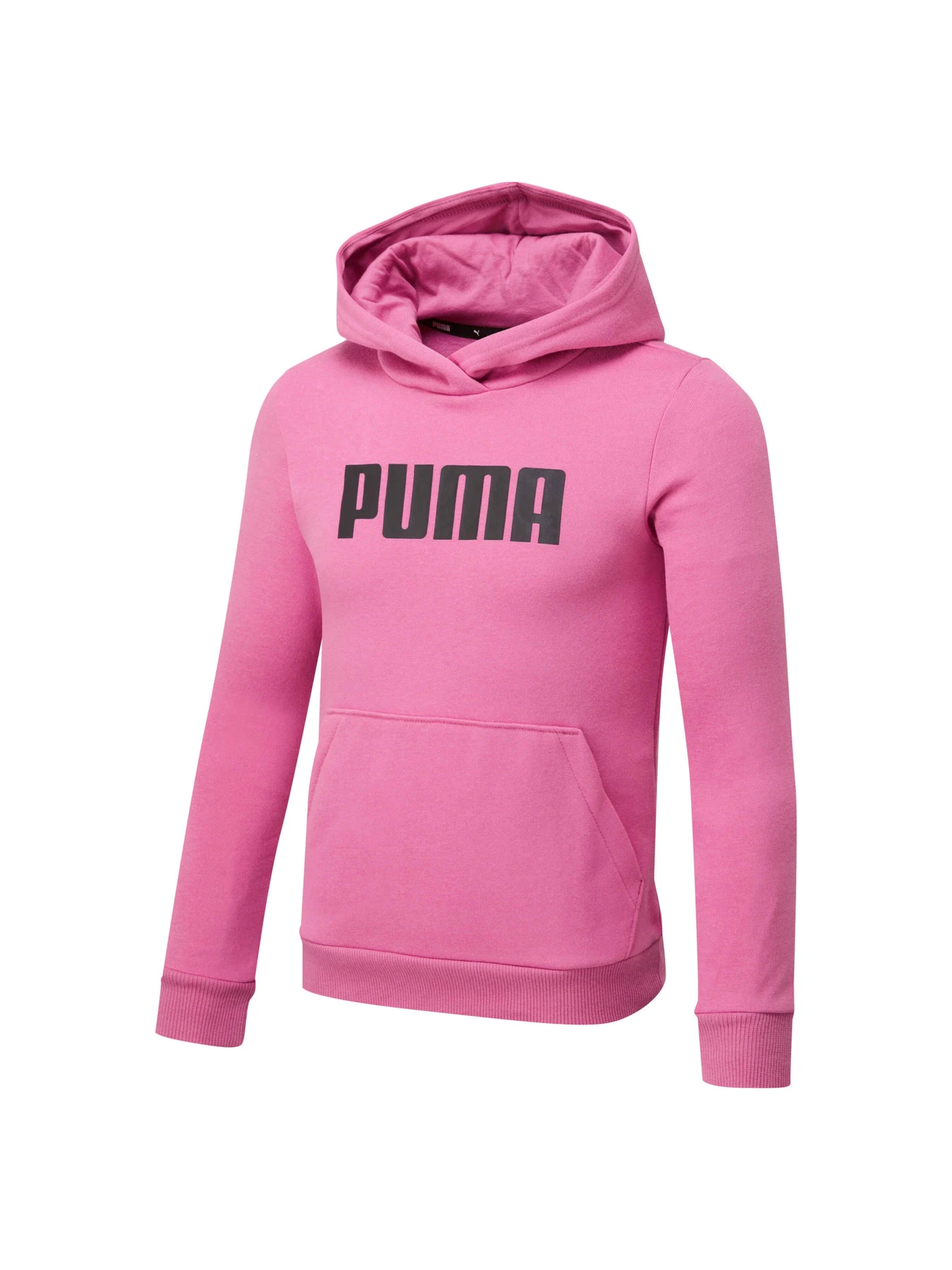 Худи и свитшоты PUMA Girls Ess Hoody Fl модель 847587 Худи и свитшоты PUMA Girls Ess Hoody Fl модель 847587 Фото
