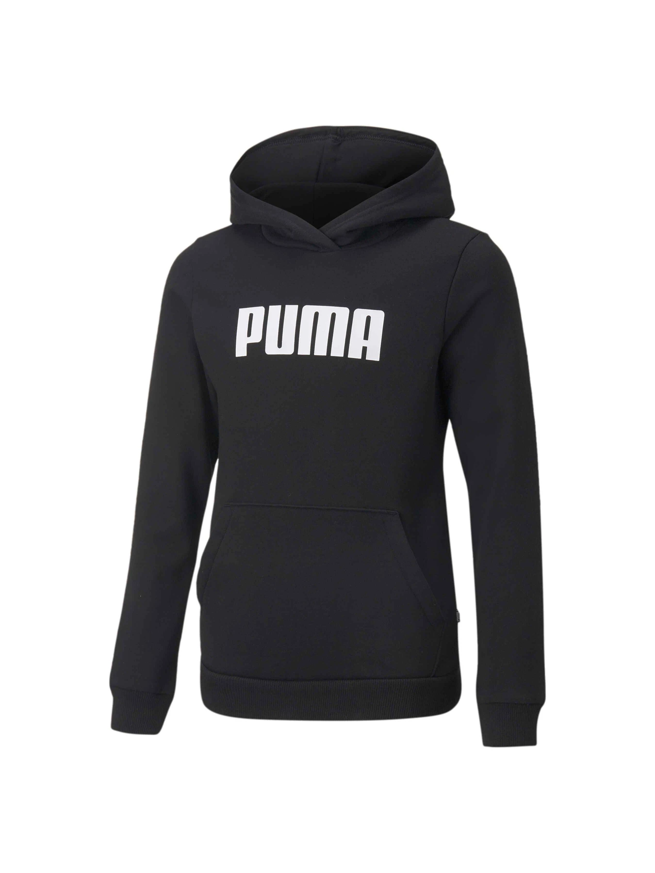 Худи и свитшоты PUMA Girls Ess Hoody Fl модель 847587 Фото