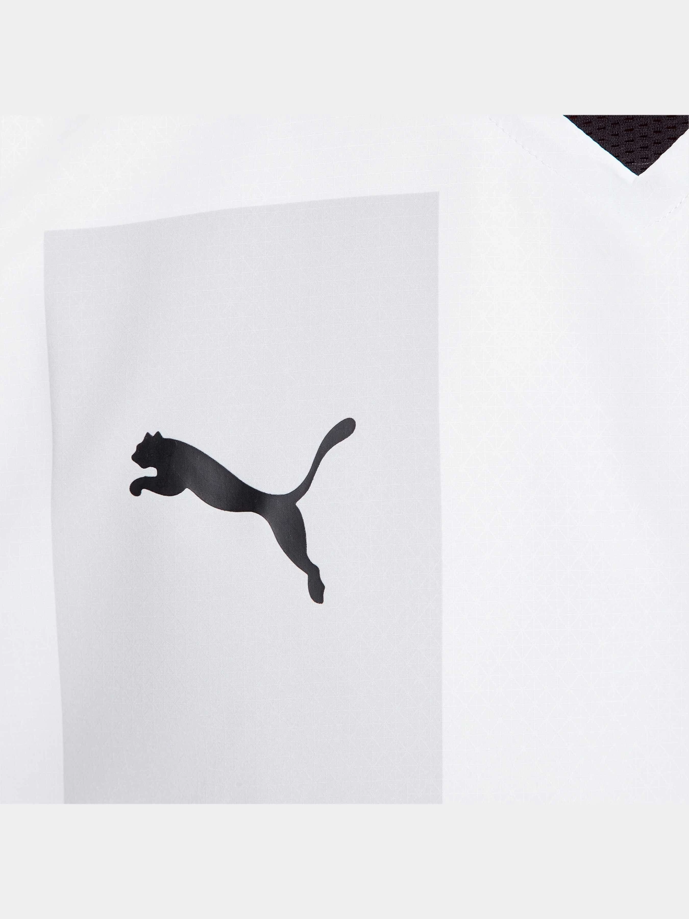 Футболки і поло PUMA Fcsd 3rd Jersey Promo модель 765631 Фото