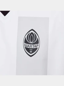 Футболки і поло PUMA Fcsd 3rd Jersey Promo модель 765631 Фото