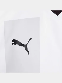 Футболки і поло PUMA Fcsd 3rd Jersey Promo модель 765631 Фото