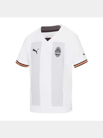 Футболки і поло PUMA Fcsd 3rd Jersey Promo модель 765631 Фото
