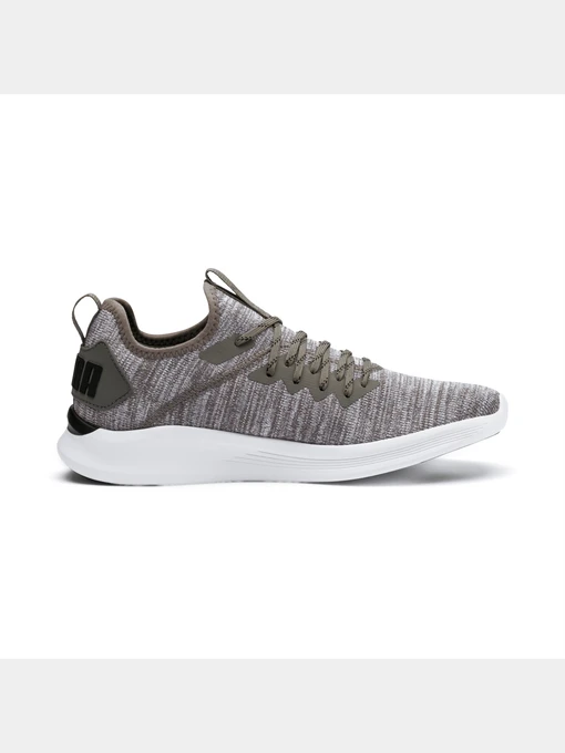 Кросівки PUMA Ignite Flash Evoknit модель 190508 Фото