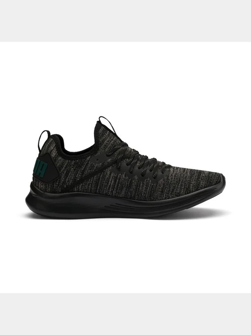 Кросівки PUMA Ignite Flash Evoknit модель 190508 Фото