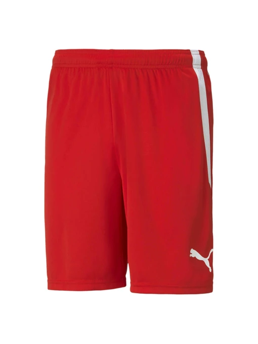 Шорти PUMA Teamliga Shorts модель 704924 Фото