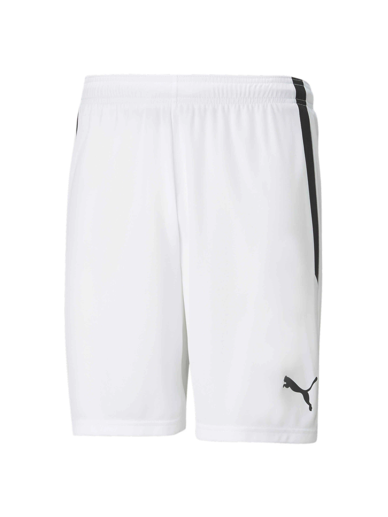 Шорты PUMA Teamliga Shorts модель 704924 Фото