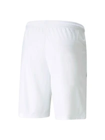 Шорты PUMA Teamliga Shorts модель 704924 Фото