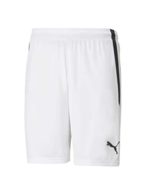 Шорты PUMA Teamliga Shorts модель 704924 Фото