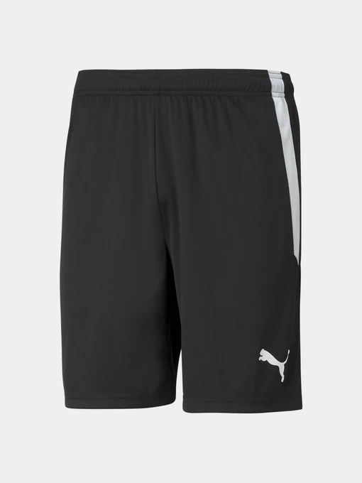 Шорти PUMA Teamliga Shorts модель 704924 Фото