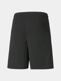 Шорти PUMA Teamliga Shorts модель 704924 Фото