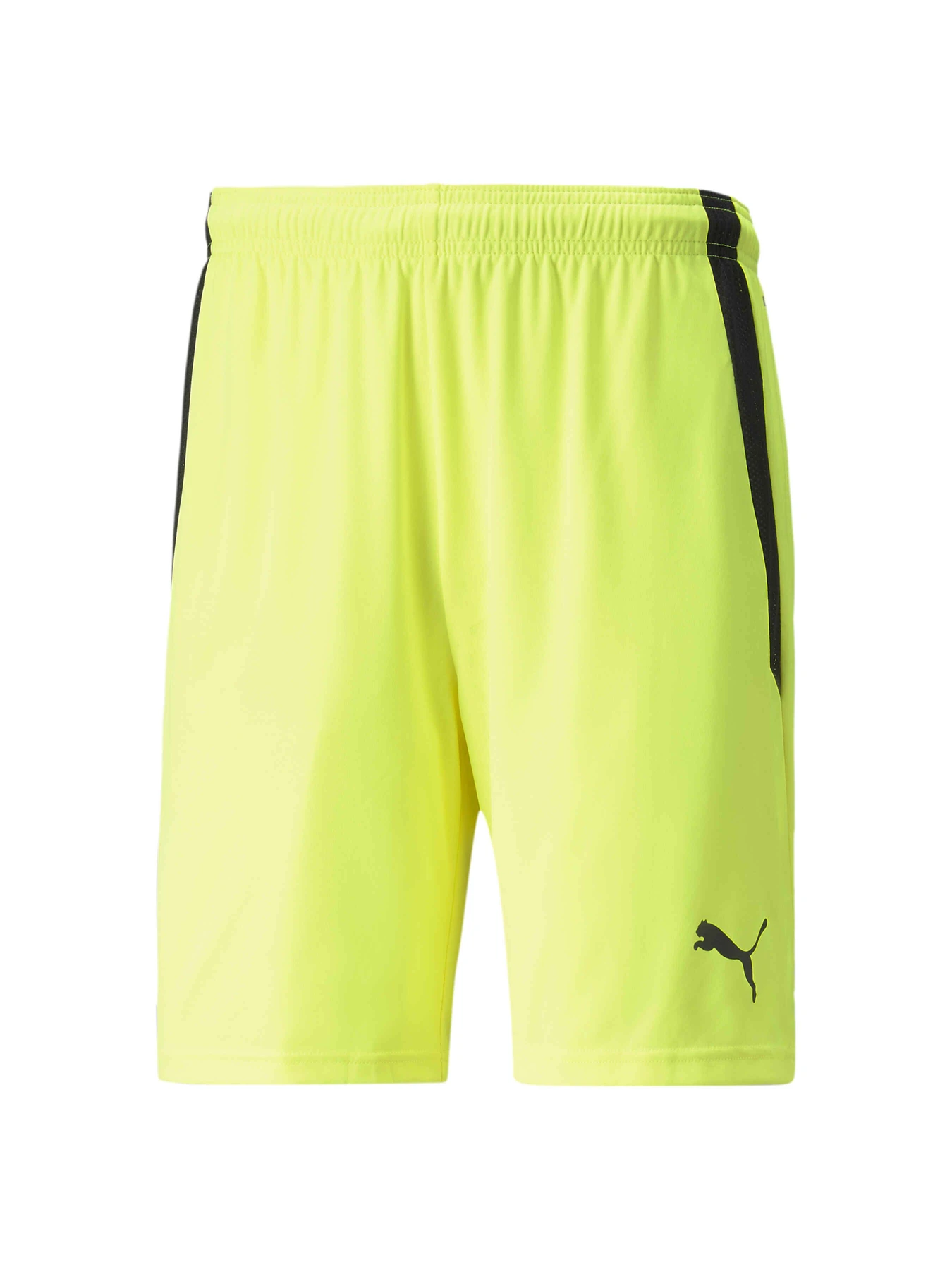 Шорти PUMA Teamliga Shorts модель 704924 Шорти PUMA Teamliga Shorts модель 704924 Фото