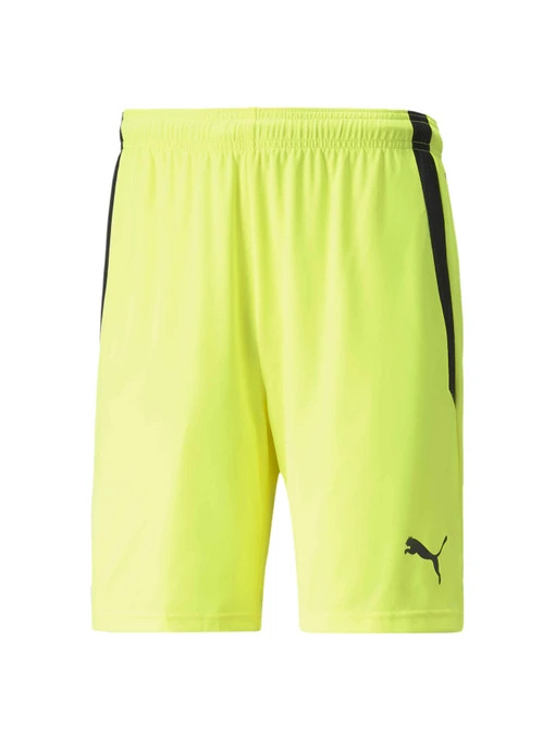 Шорти PUMA Teamliga Shorts модель 704924 Фото