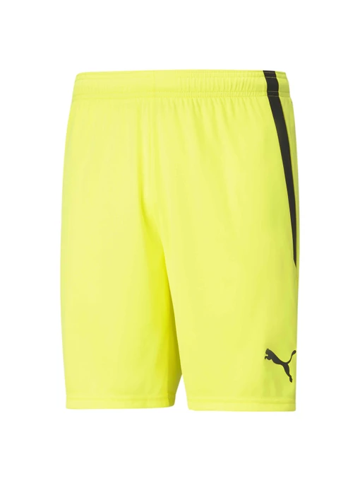 Шорти PUMA Teamliga Shorts модель 704924 Фото