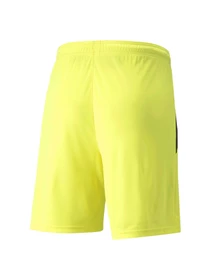 Шорти PUMA Teamliga Shorts модель 704924 Фото
