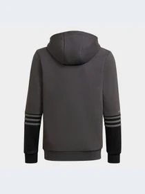 Худи и свитшоты Adidas модель HE4770 Фото