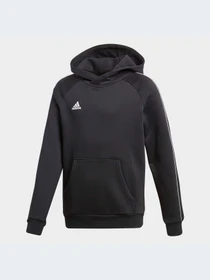 Худи и свитшоты Adidas модель CE9069 Фото
