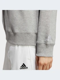 Худи и свитшоты Adidas модель IC6880 Фото