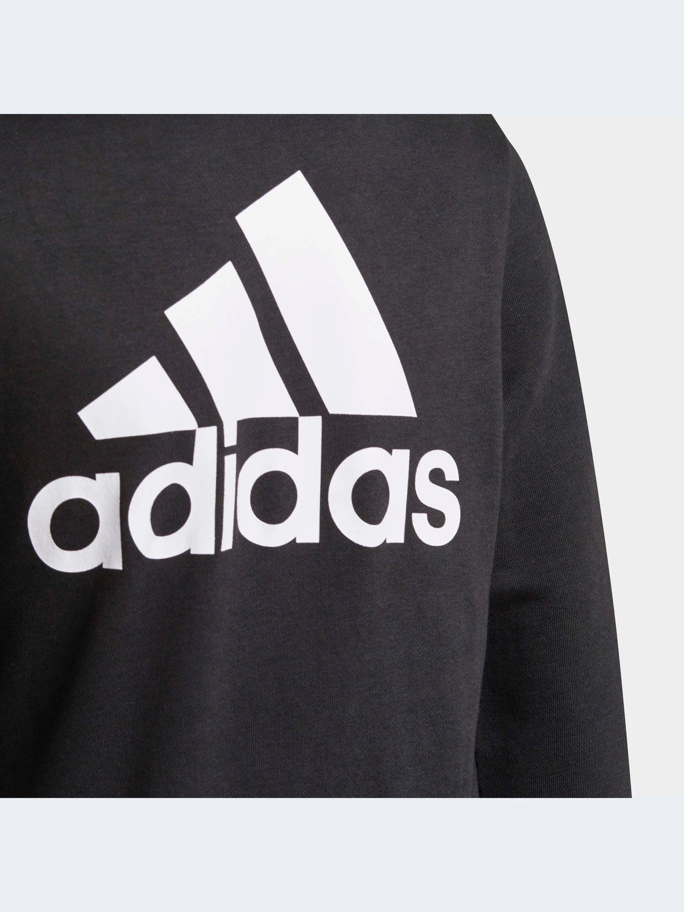 Худи и свитшоты Adidas модель GN4020 Фото