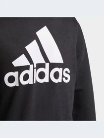 Худи и свитшоты Adidas модель GN4020 Фото